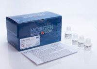 RU45400 Saliva DNA Isolation Kit ( 50 rxn )